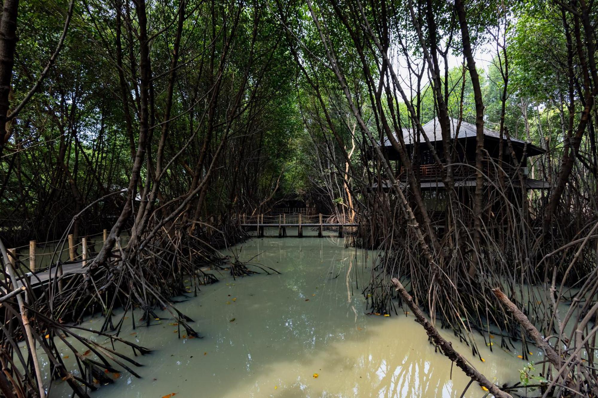 Reddoorz Resort @ Taman Wisata Mangrove Jakarta Luaran gambar